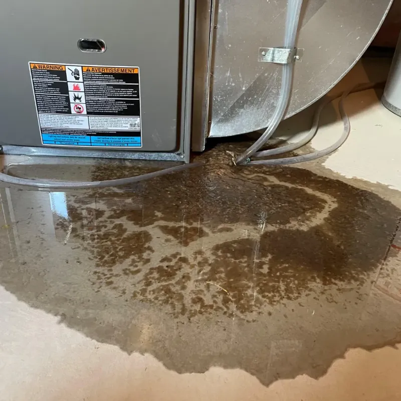 Appliance Leak Cleanup in Holiday Valley, OH